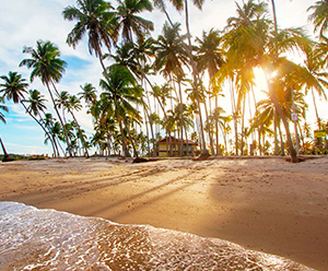 Praia de Guadalupe