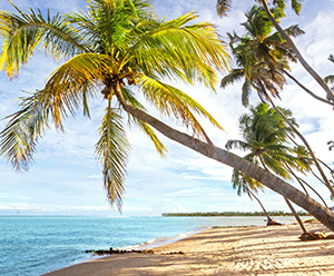Praia de Guadalupe