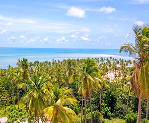Praia de Guadalupe
